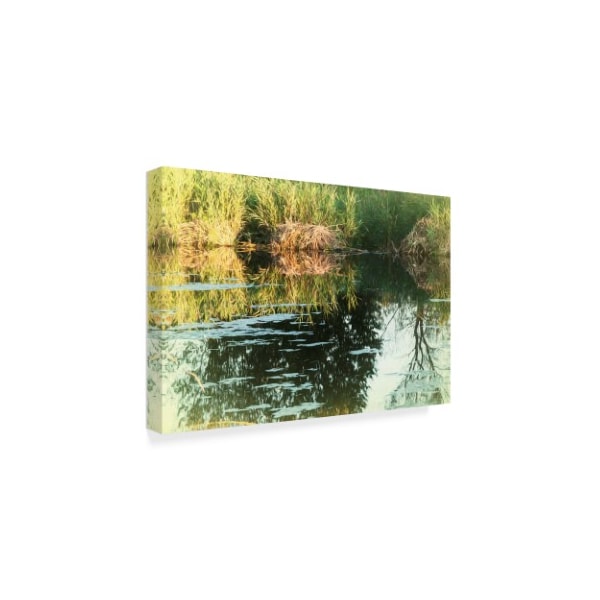 Anthony Paladino 'Warm Summer Evening By Pond' Canvas Art,22x32